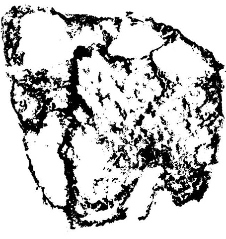 einStein - Einstein Bild Titelseite